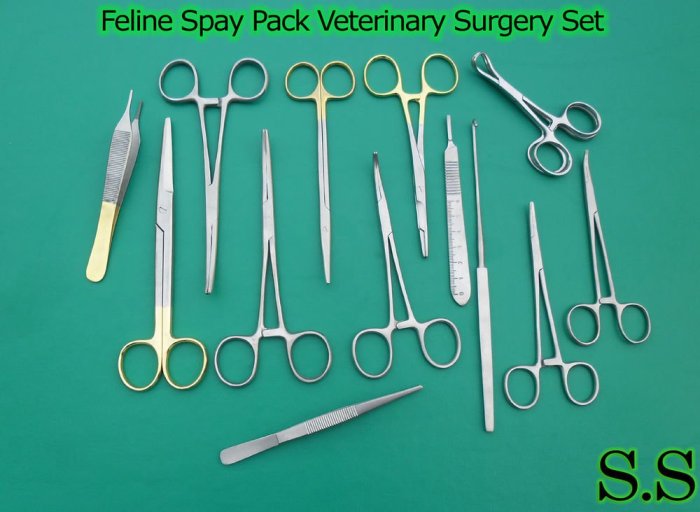 Spay feline ovaries veterinary instruments surgical