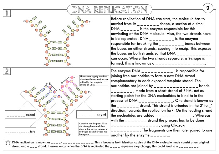 Protein analysis lab worksheet answers