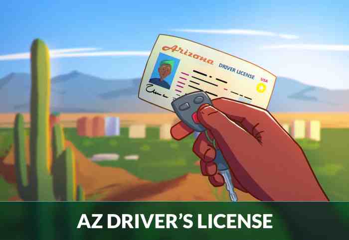 Driver arizona