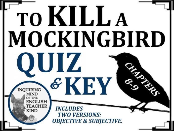 To kill a mockingbird quiz