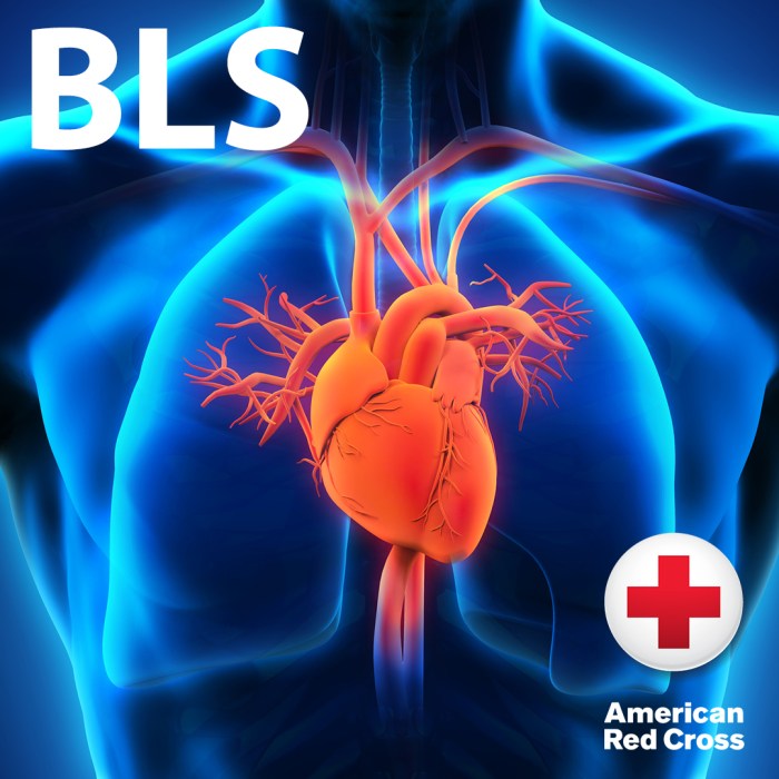 American red cross bls test questions