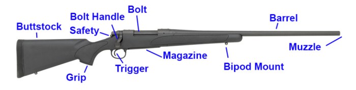 Bolt rifle browning diagram action parts ii list bevfitchett exploded rifles guns plans m1 shotgun apocalypse gun garand weapons