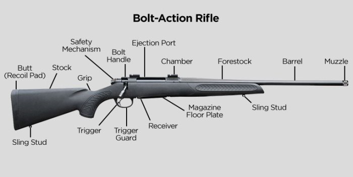 Bolt action rifle parts diagram