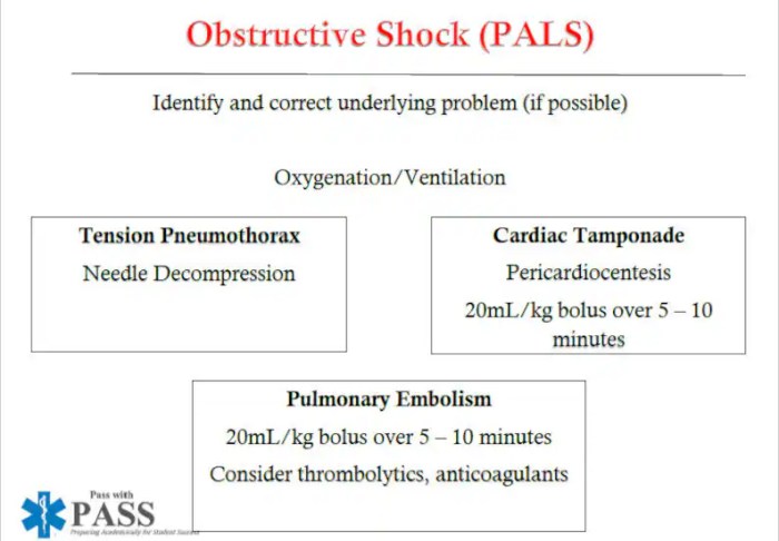 Pals questions and answers pdf 2022