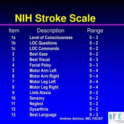 Nihss stroke scale answers group d