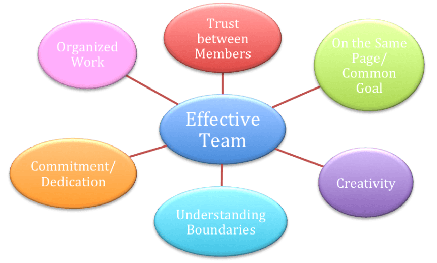 What are examples of effective team dynamics cpr