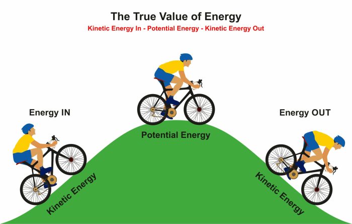 Potential energy vs kinetic energy worksheet