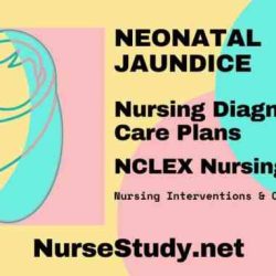 Nursing care plan for neonatal hyperbilirubinemia