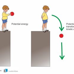 Potential energy vs kinetic energy worksheet