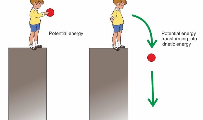 Potential energy vs kinetic energy worksheet