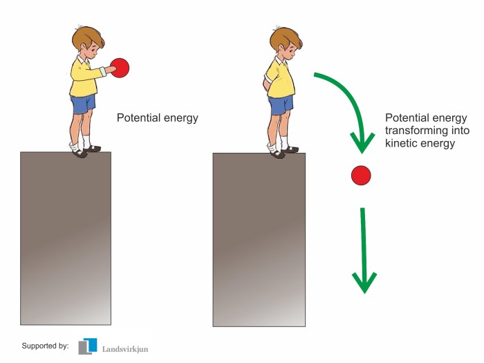 Potential energy vs kinetic energy worksheet