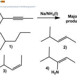 Major h2 pt reaction produced following