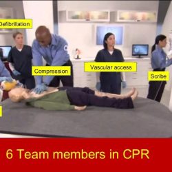 What are examples of effective team dynamics cpr